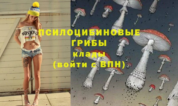 каннабис Алексеевка