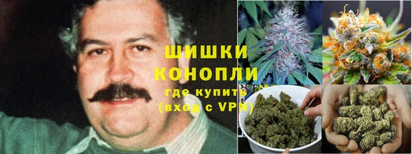 каннабис Алексеевка