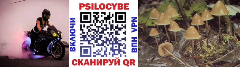 Псилоцибиновые грибы Cubensis  Липки 